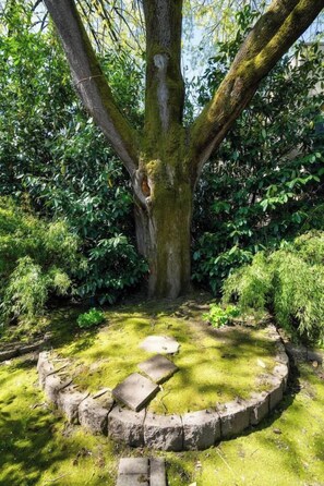 Ein großer Baum mit einem moosbewachsenen Stamm und einer runden Steinbank in der Mitte.