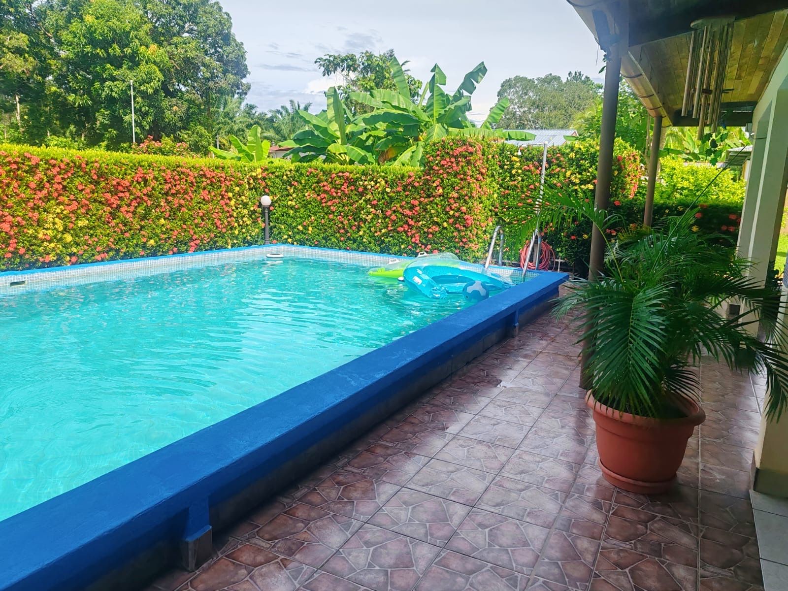 Une piscine dont le bord est bleu, entourée d’une terrasse carrelée et agrémentée de diverses plantes et fleurs.