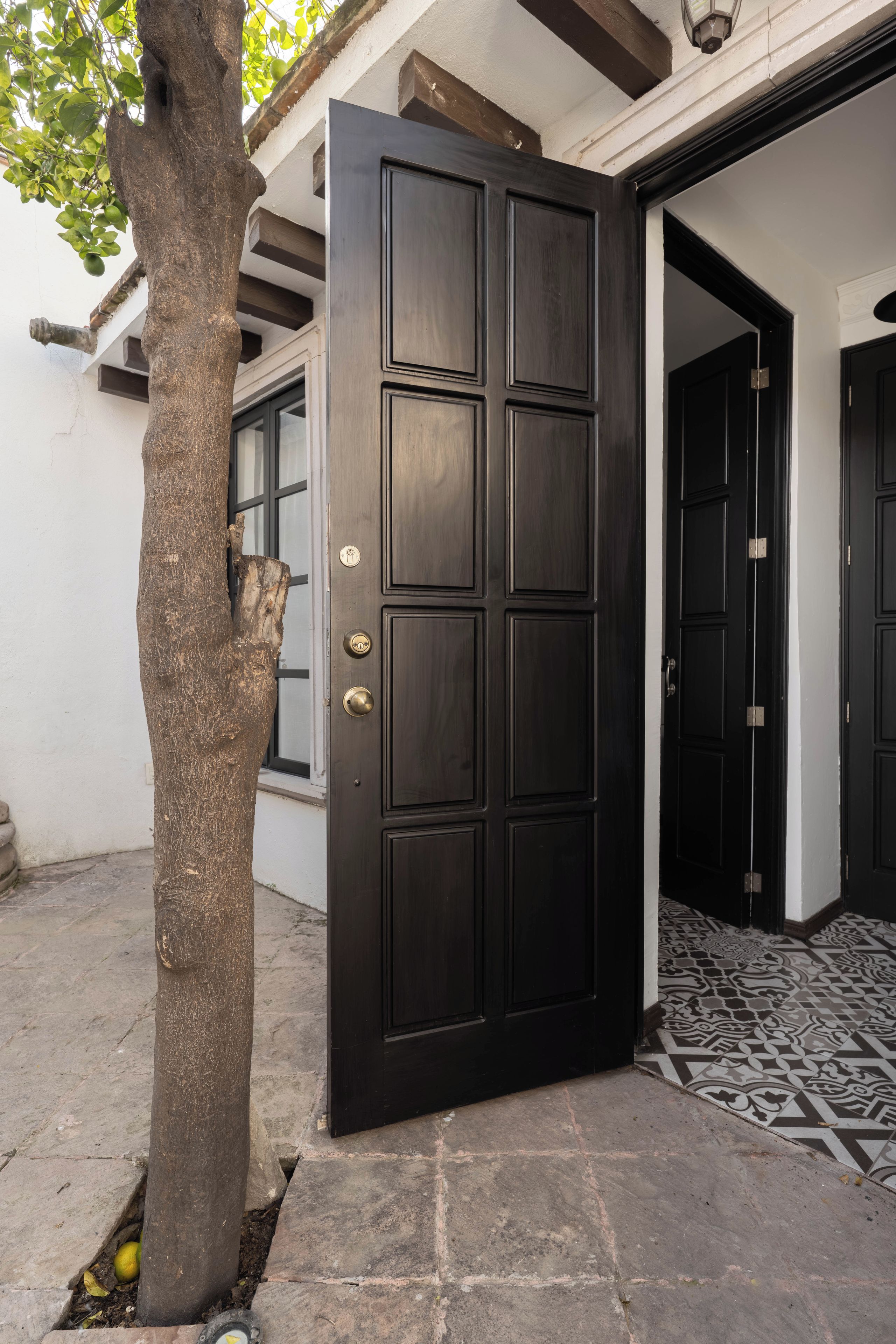 A dark wooden door with a brass handle and lock, set in a building with a tiled floor and a tree in the foreground.