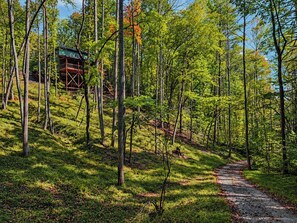 A forested area with a pathway leading to a building with a unique geometric design. - Romantic Adults Only Couples Escape - Play Room, VIP Room, and More (Mineral Bluff)