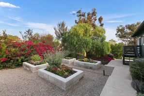 A landscaped garden with raised planters, a variety of shrubs, and trees. - Your Modern Lux Pool Resort in the Heart of SD (San Diego)