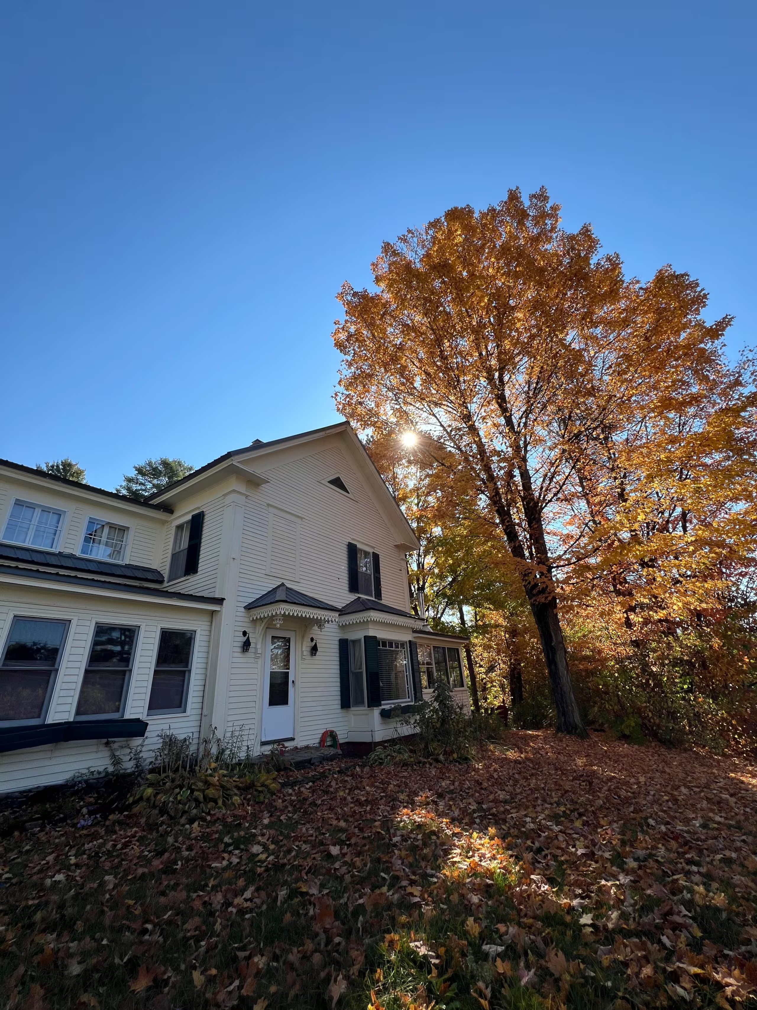 Une maison à deux étages avec un porche et un grand arbre aux feuilles d’automne.