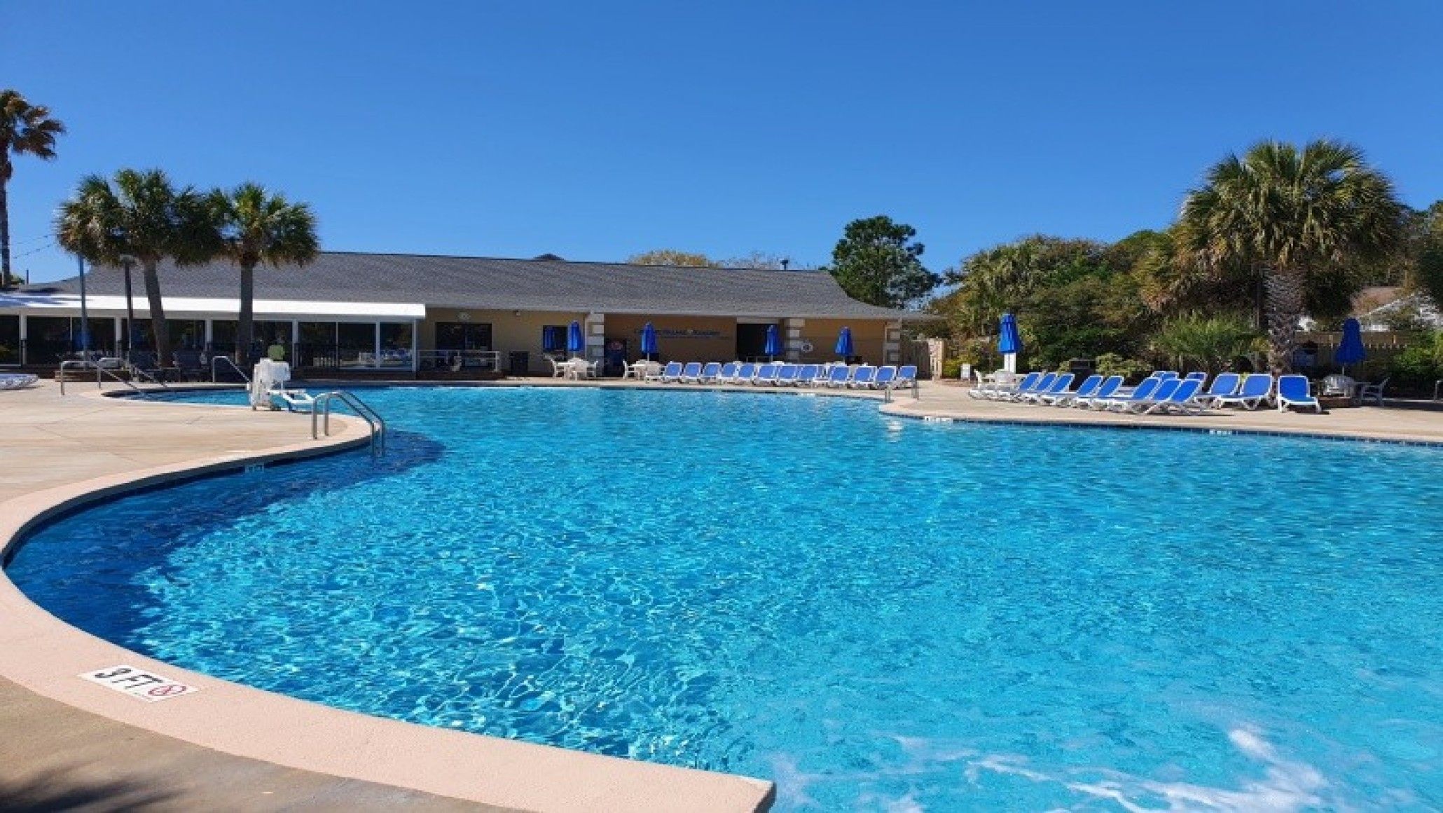 Una piscina con sillones de descanso y palmeras.