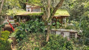 Une maison entourée d’une végétation tropicale luxuriante, avec un escalier bien visible menant à l’entrée.