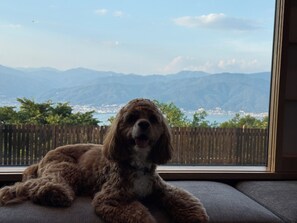 Un chien est allongé sur un banc rembourré près d’une fenêtre, d’où l’on peut admirer des montagnes et un plan d’eau.