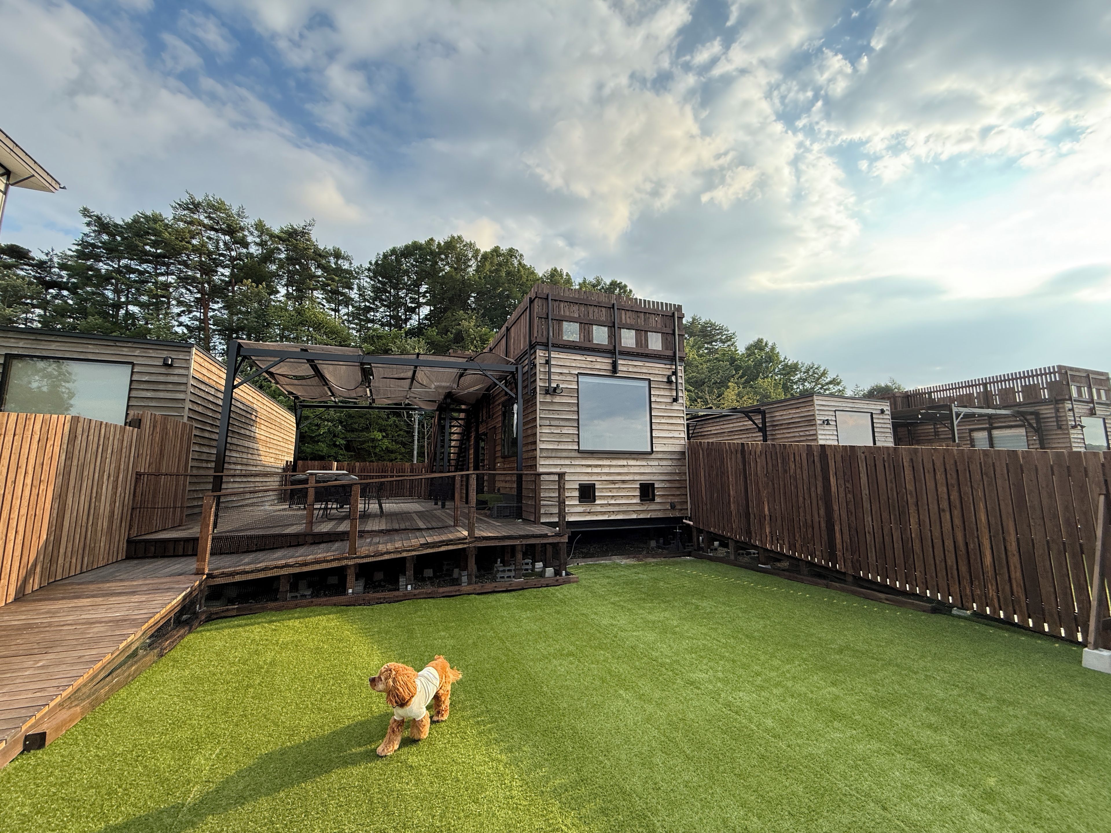 A backyard with a wooden deck, a fenced area, and a dog.