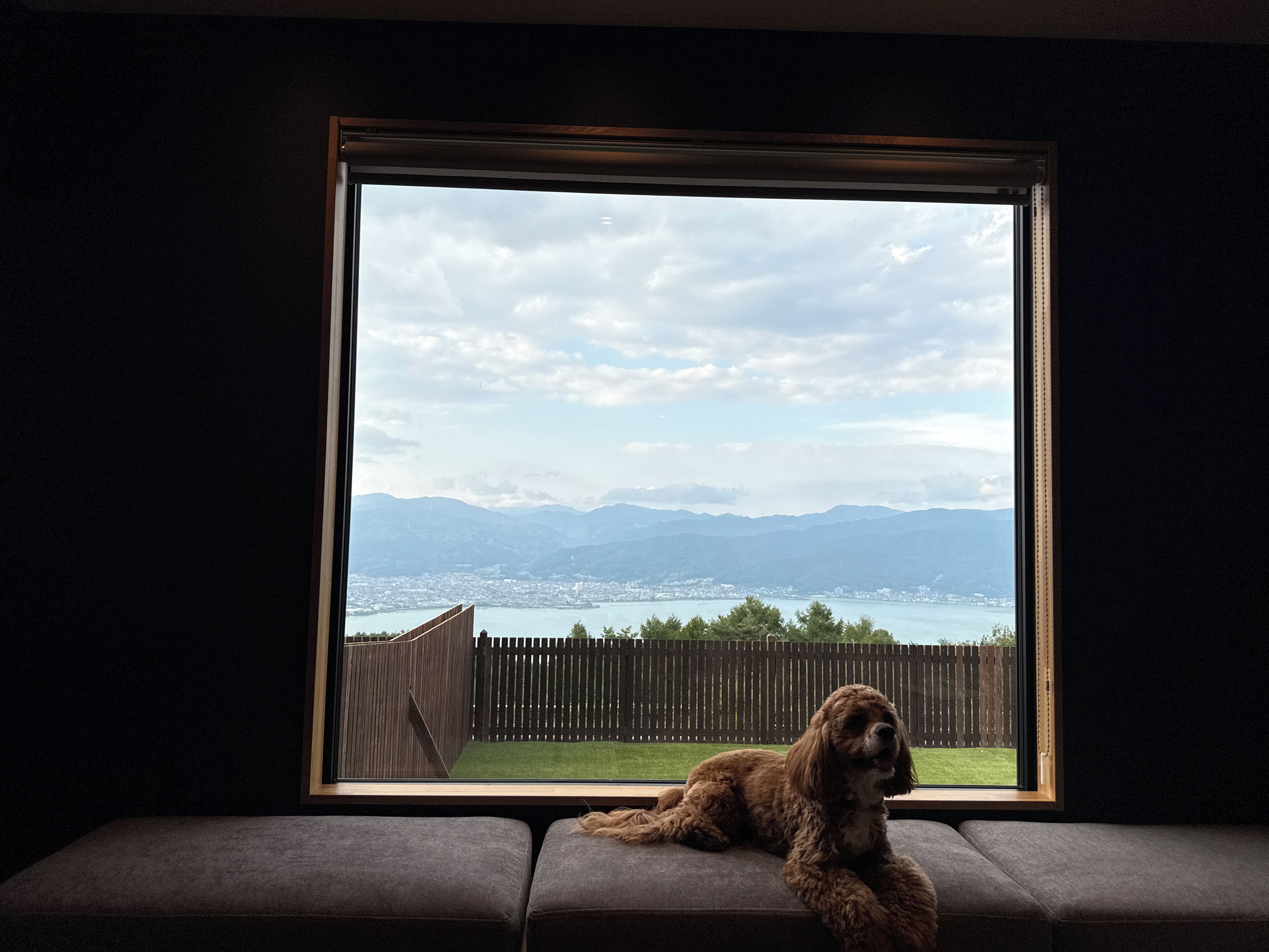 En hund hviler på en bænk ved et vindue med udsigt til en baghave med et træhegn og bjerge i det fjerne.