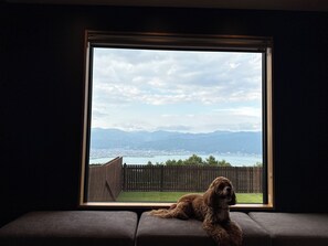 Un chien se repose sur un banc près d’une fenêtre donnant sur une cour arrière, avec une clôture en bois et des montagnes visibles au loin.