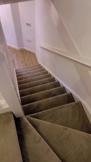 Una escalera con alfombra y barandilla, que lleva a una habitación con un interruptor de luz en la pared.