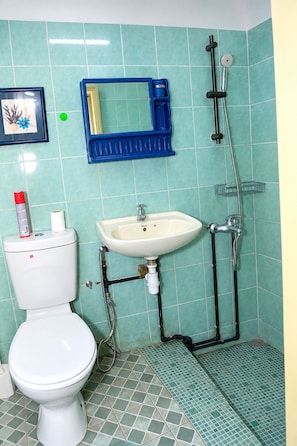 A bathroom with a toilet, sink, and shower. - Cozy 1-bedroom studio in delightful Grand Baie with AC (Grand Baie)