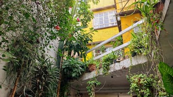 Jardín interior con diversas plantas y una pared amarilla al fondo.