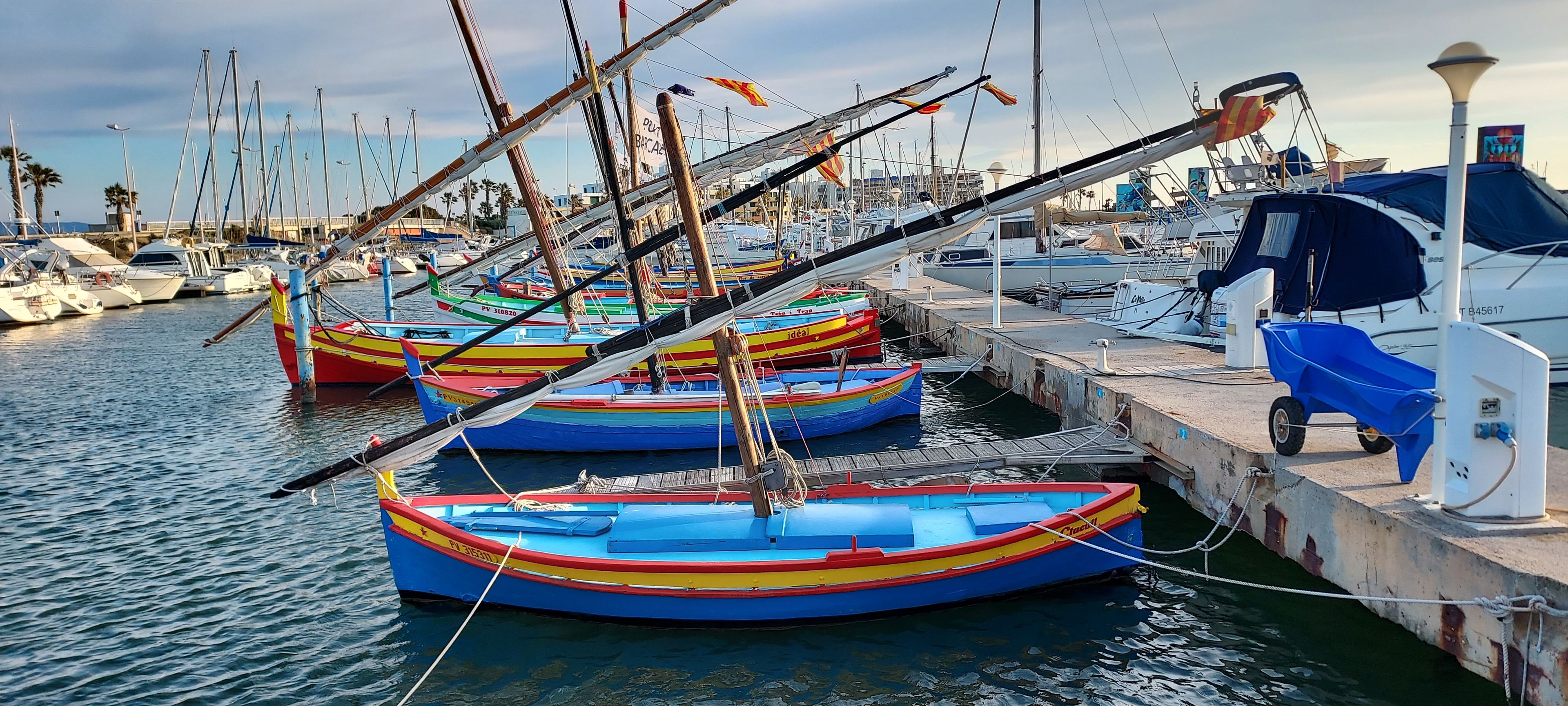 Un puerto deportivo con varias embarcaciones de colores amarradas al muelle.