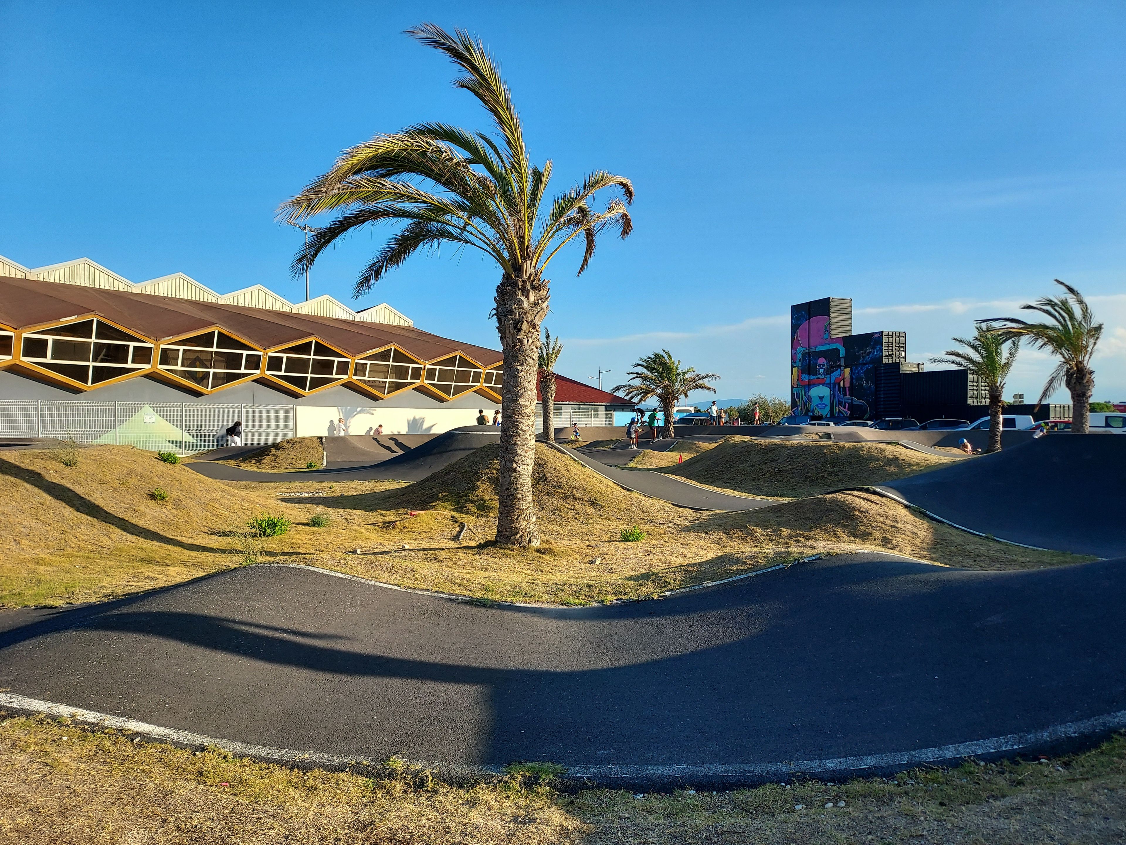 A skate park with ramps and palm trees, a building with a unique geometric facade, and a large digital billboard in the background.