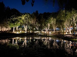 A nighttime park scene with a pond, trees, and illuminated pathways.