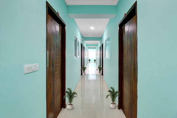 A hallway with teal walls, wooden doors, and potted plants.