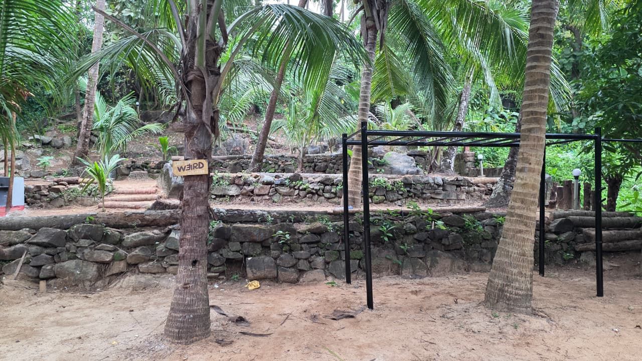 A naturalistic outdoor area with a stone wall, palm trees, and a wooden sign.