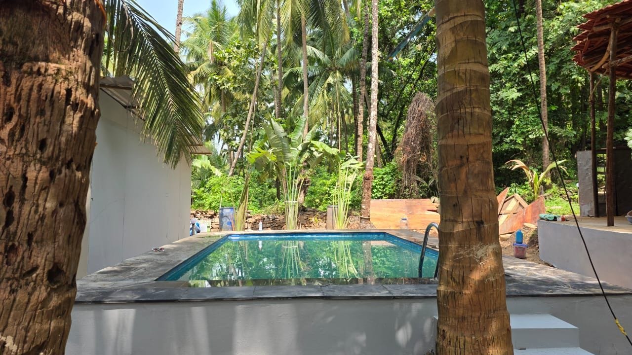 A swimming pool surrounded by palm trees and a white wall.