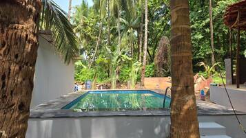 A swimming pool surrounded by palm trees and a white wall.
