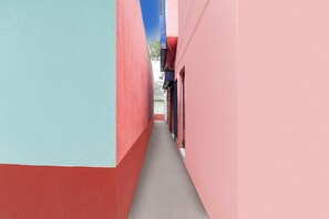 A narrow alleyway between buildings with red and blue walls.