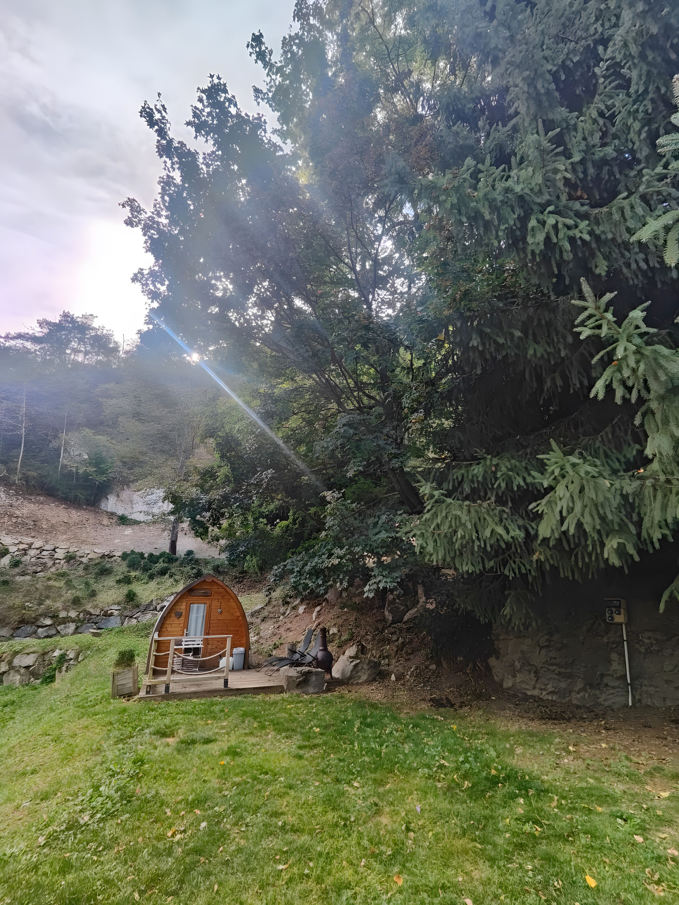 Een houten chalet met een veranda, omgeven door dichte bomen en een stenen muur.