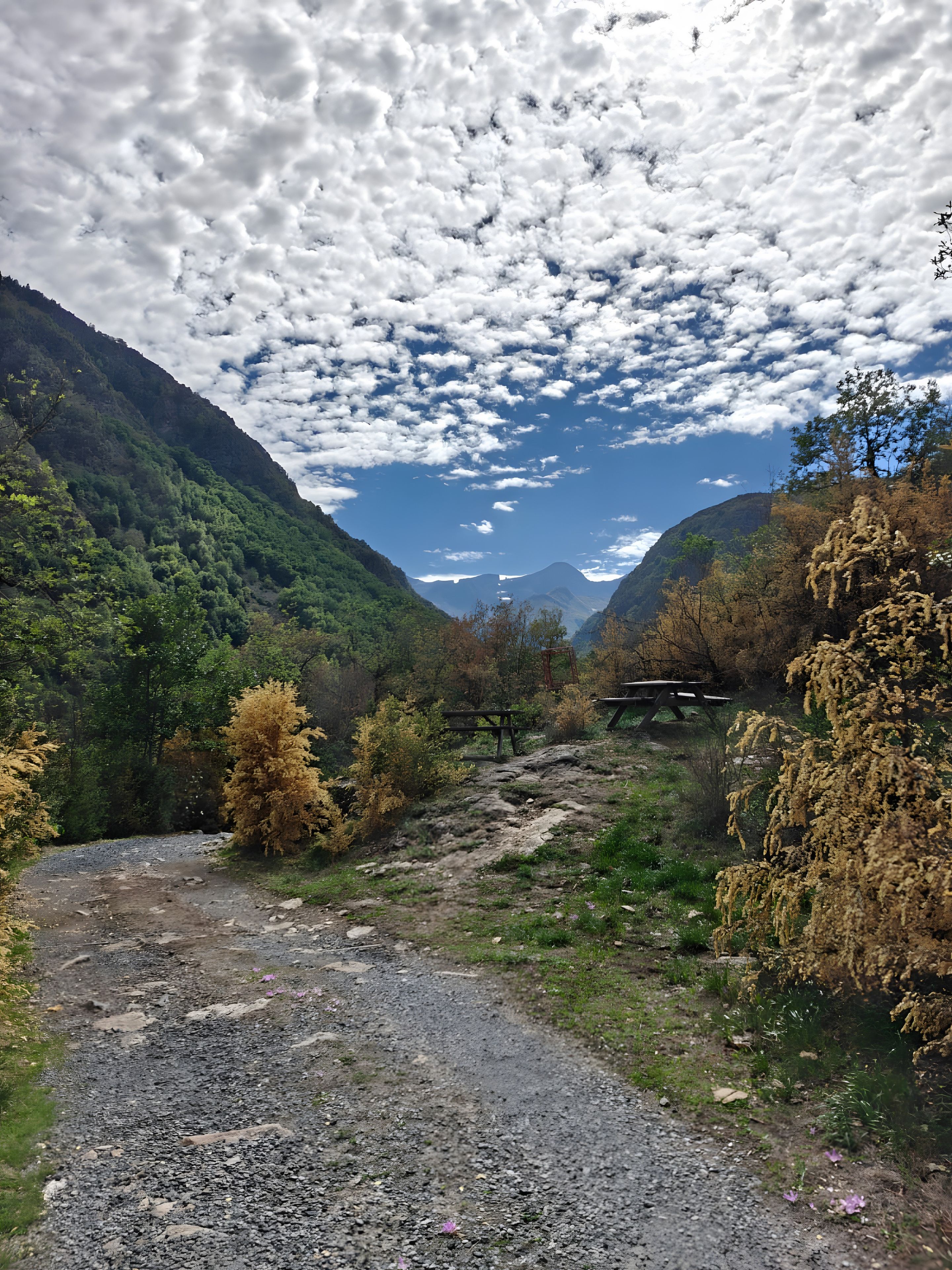 A gravel path leading through a mountainous area with trees and a picnic table.