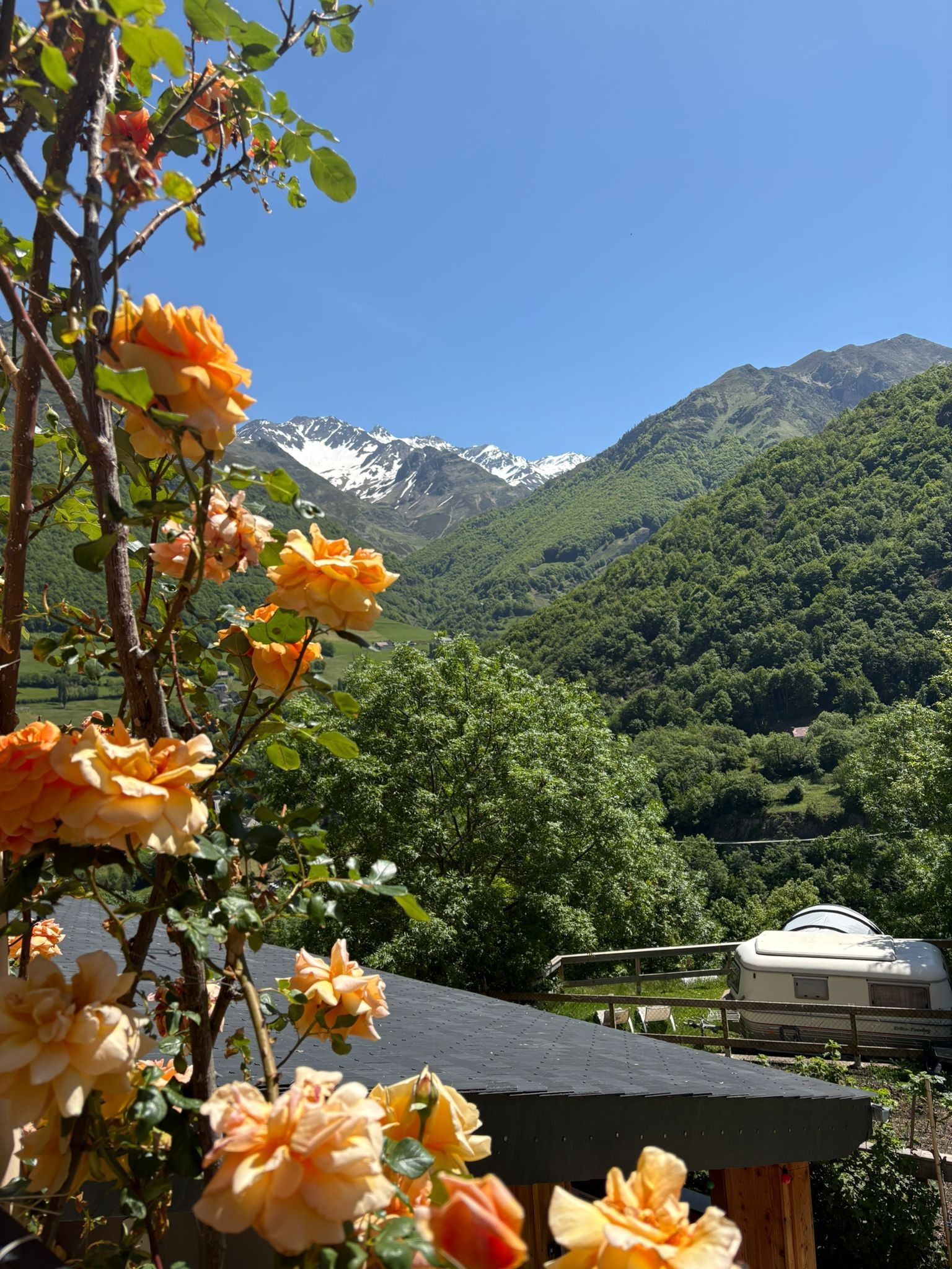 A mountain landscape with a cabin and a garden with roses.