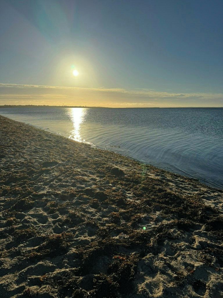 Una playa con cielo despejado y el sol reflejado en el agua.
