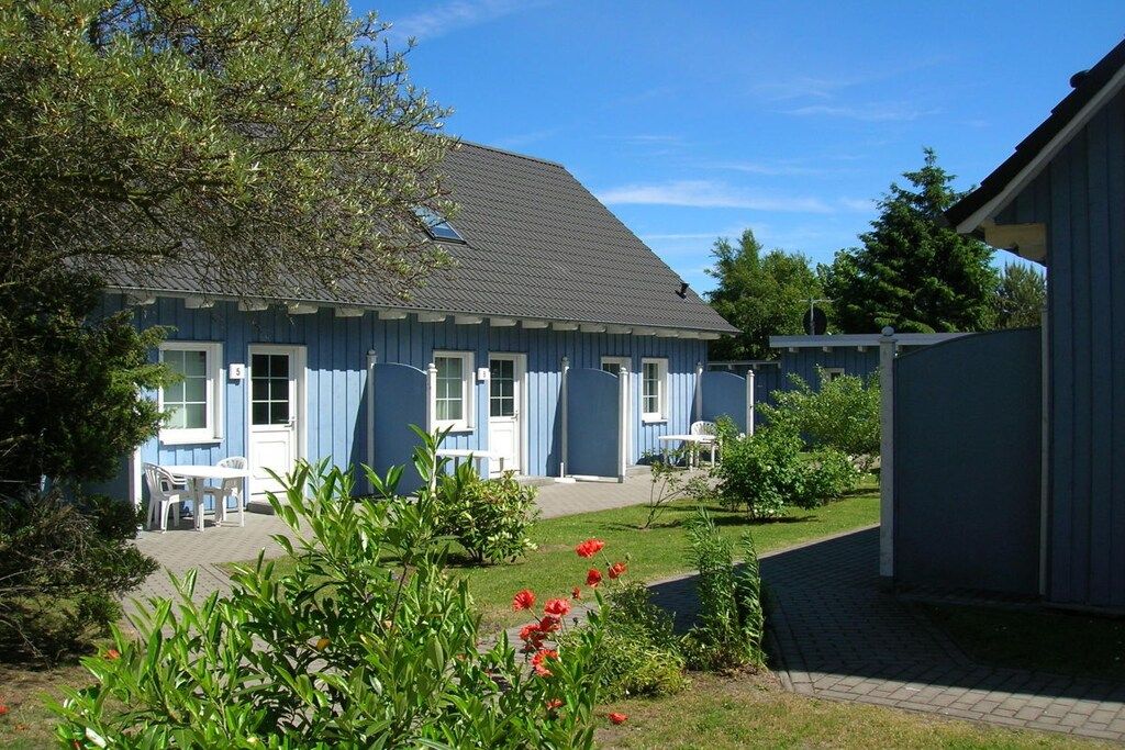 A blue building with a sloped roof, a paved patio area, and a garden with red flowers.