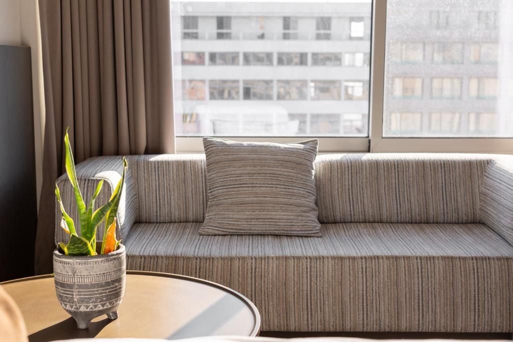 A modern living room with a sofa, a small table, and a potted plant.