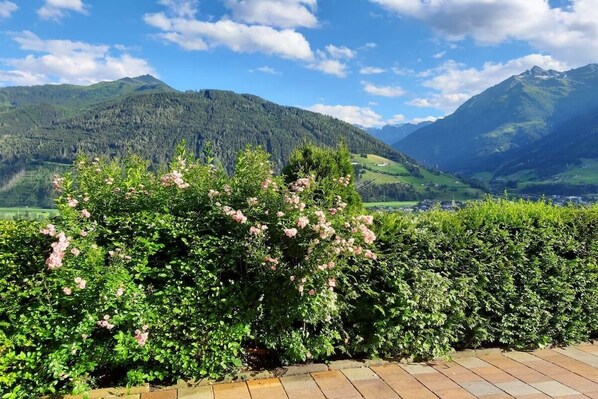 A garden with pink flowers and a view of mountains.