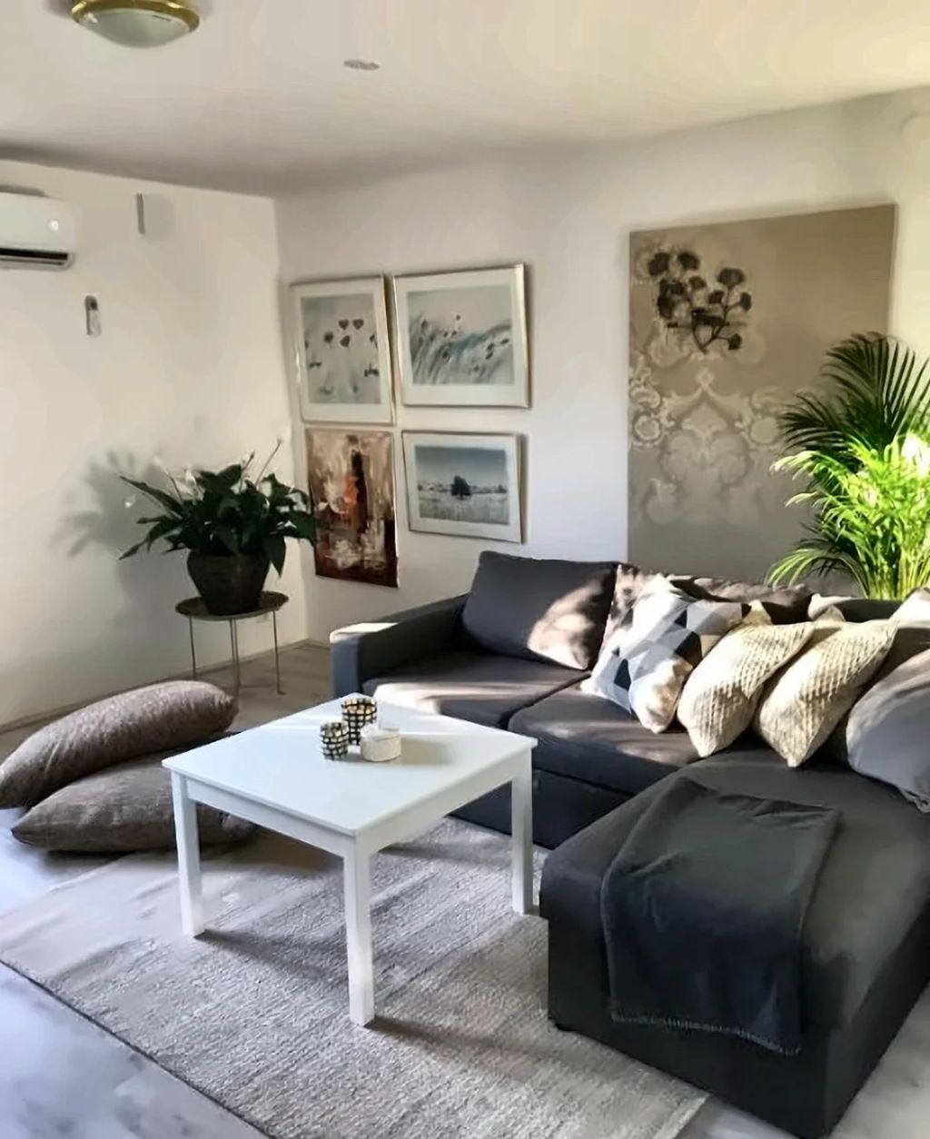 A living room with a sofa, a coffee table, and a potted plant.