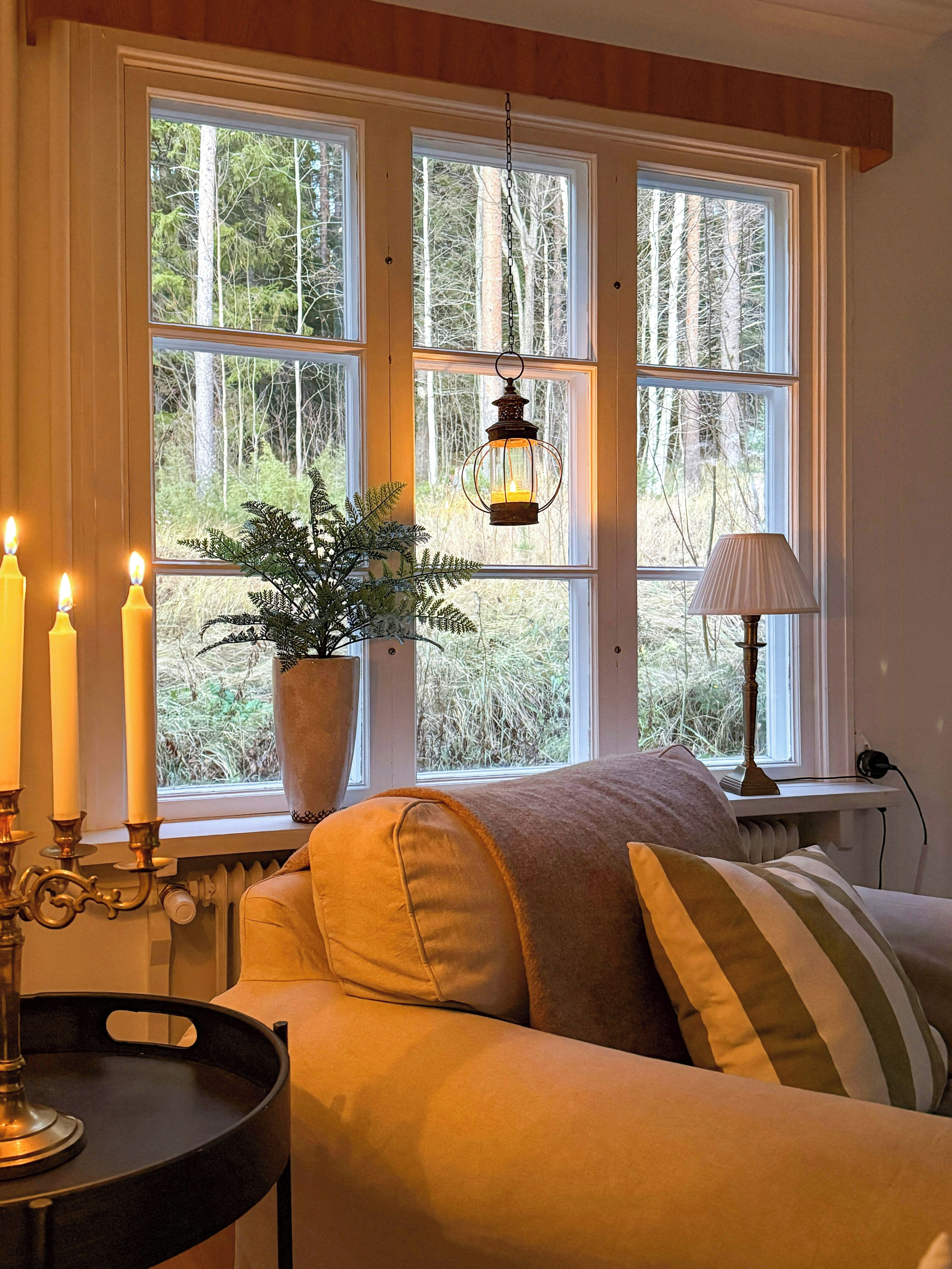 Une pièce chaleureuse avec une grande fenêtre, une plante en pot, un chandelier et une lampe.