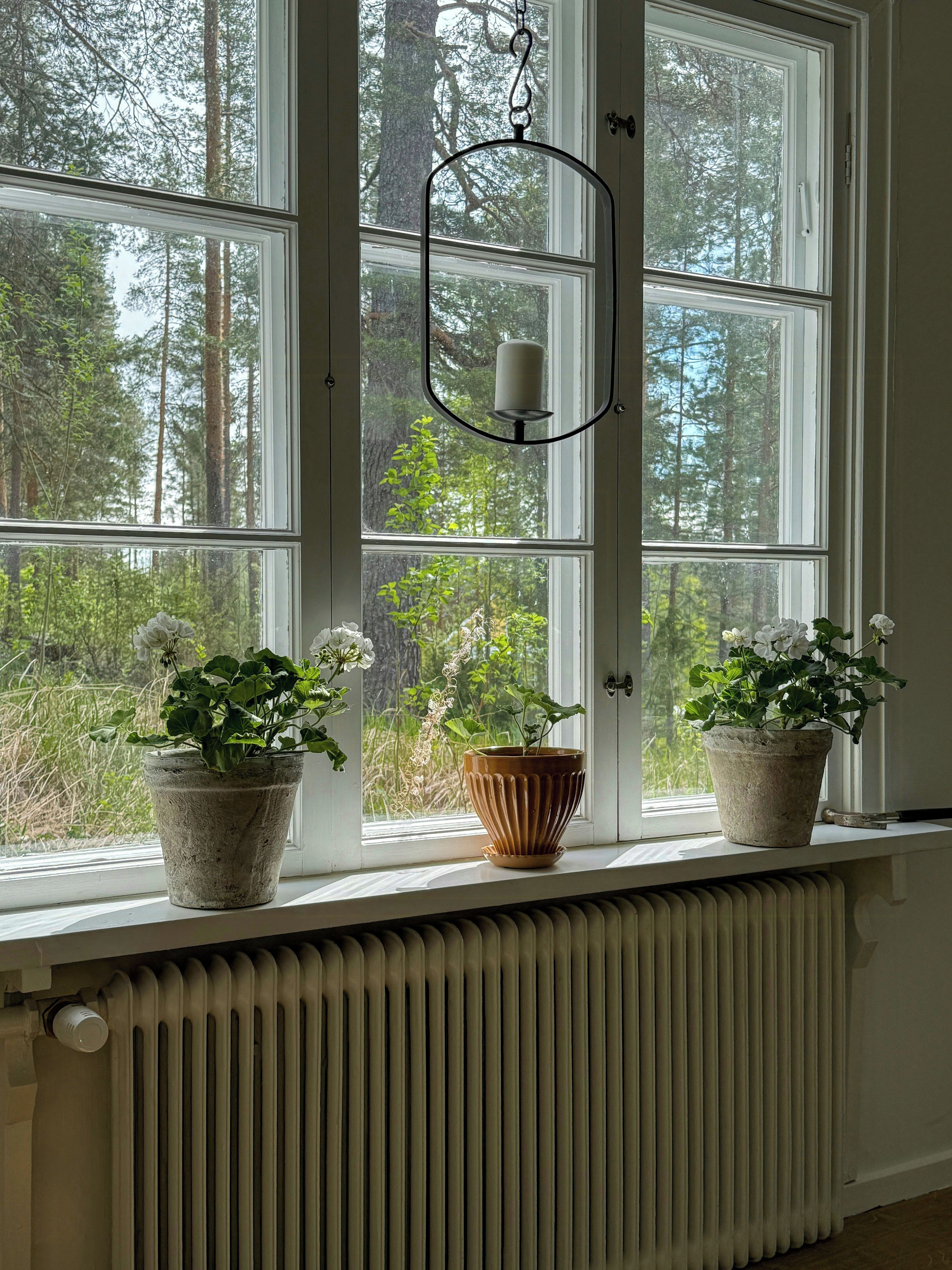 Une fenêtre avec deux plantes en pot sur le rebord, un luminaire suspendu et une vue sur une forêt à travers la fenêtre.
