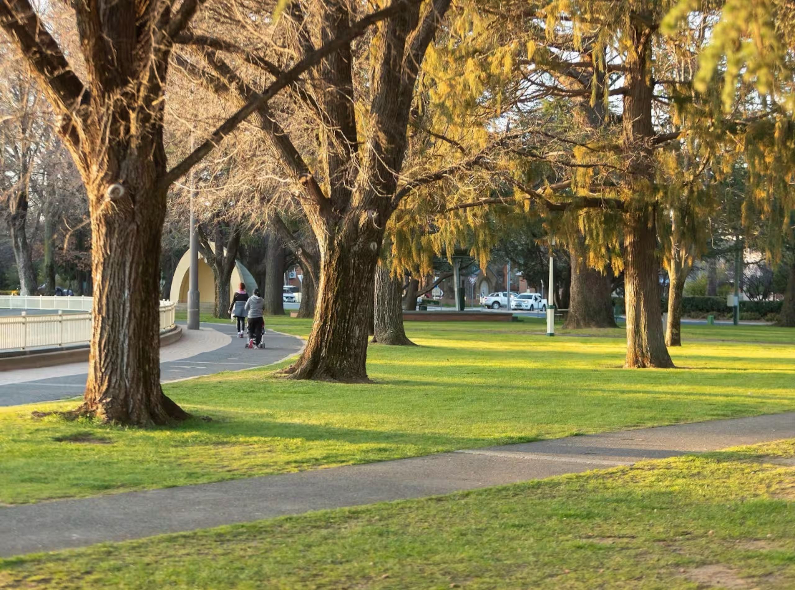 Un parco con un vialetto lastricato, alberi grandi e una zona verde.