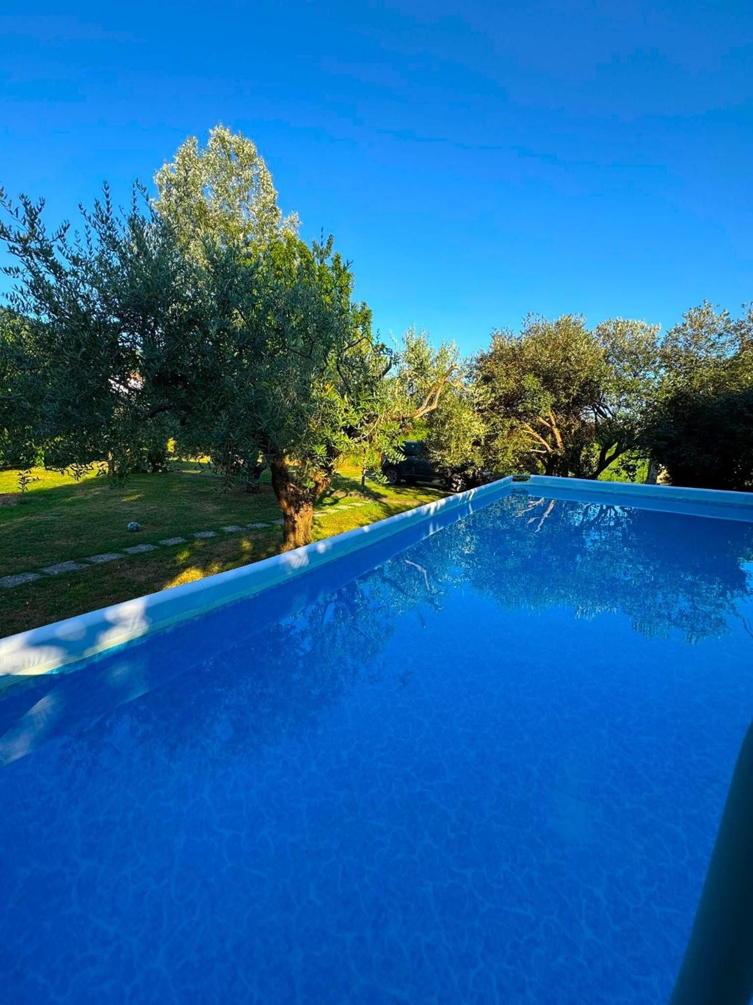 Une piscine à l’eau d’un bleu limpide, entourée d’arbres et d’herbe.