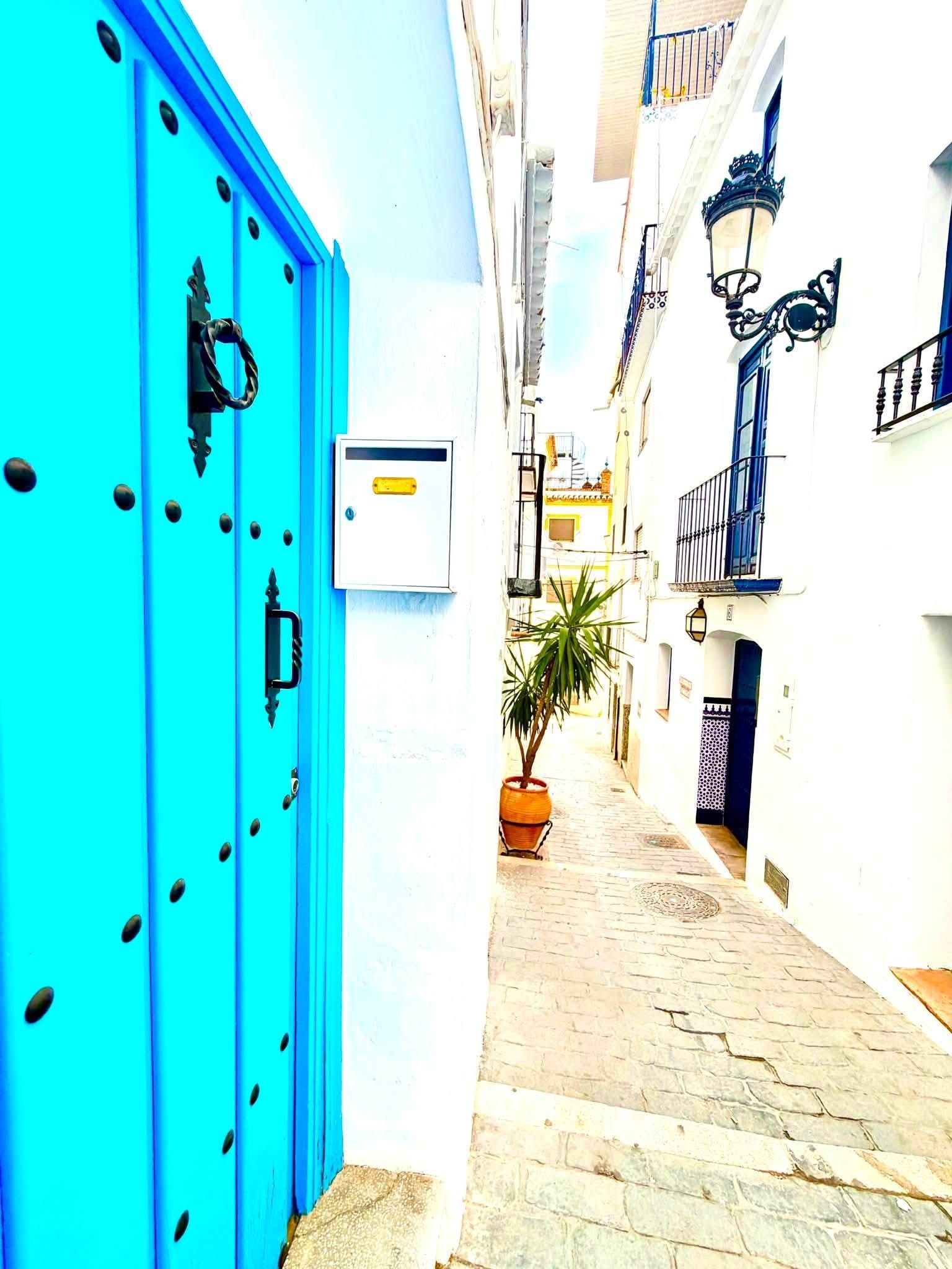 Une rue étroite avec une porte bleue sur le côté gauche, un pot de fleurs au centre et des immeubles de chaque côté.