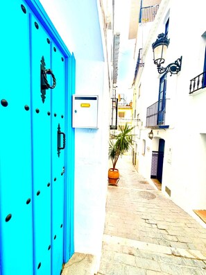 A narrow street with a blue door on the left, a potted plant in the center, and buildings on both sides.