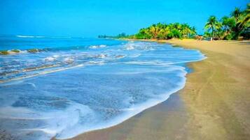 A beach with clear blue water, sandy shore, and palm trees.