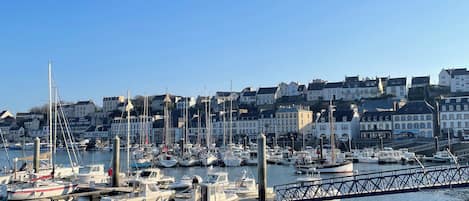 A marina with multiple boats docked, a bridge, and a row of buildings in the background.