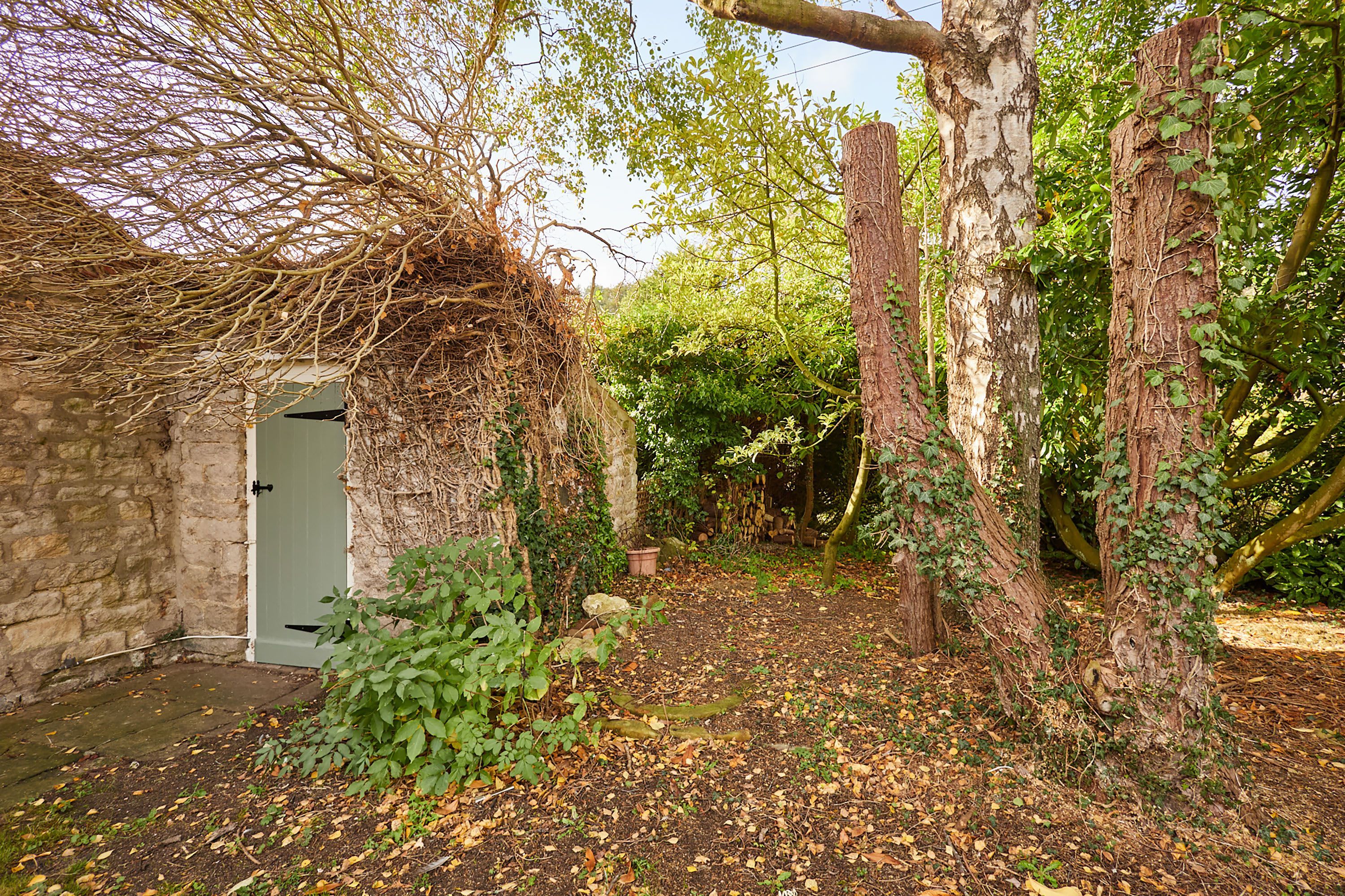 A rustic garden with a stone wall, a wooden door, and a tree with ivy.