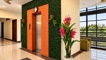 Un vestíbulo moderno con una pared verde, un ascensor y una planta en maceta.