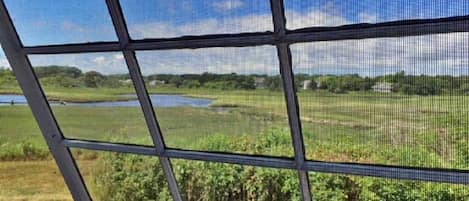 Vista a través de una ventana con un diseño de cuadrícula, sobre un espacio verde con un cuerpo de agua y árboles.