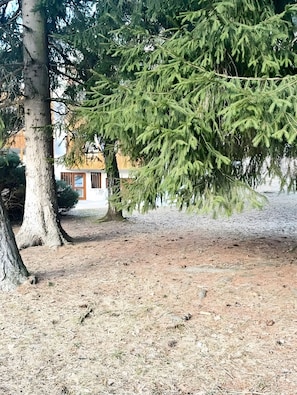 A building with a wooden facade and a large tree in front. - Apartment 'Pratolin' with Shared Terrace (Predazzo)