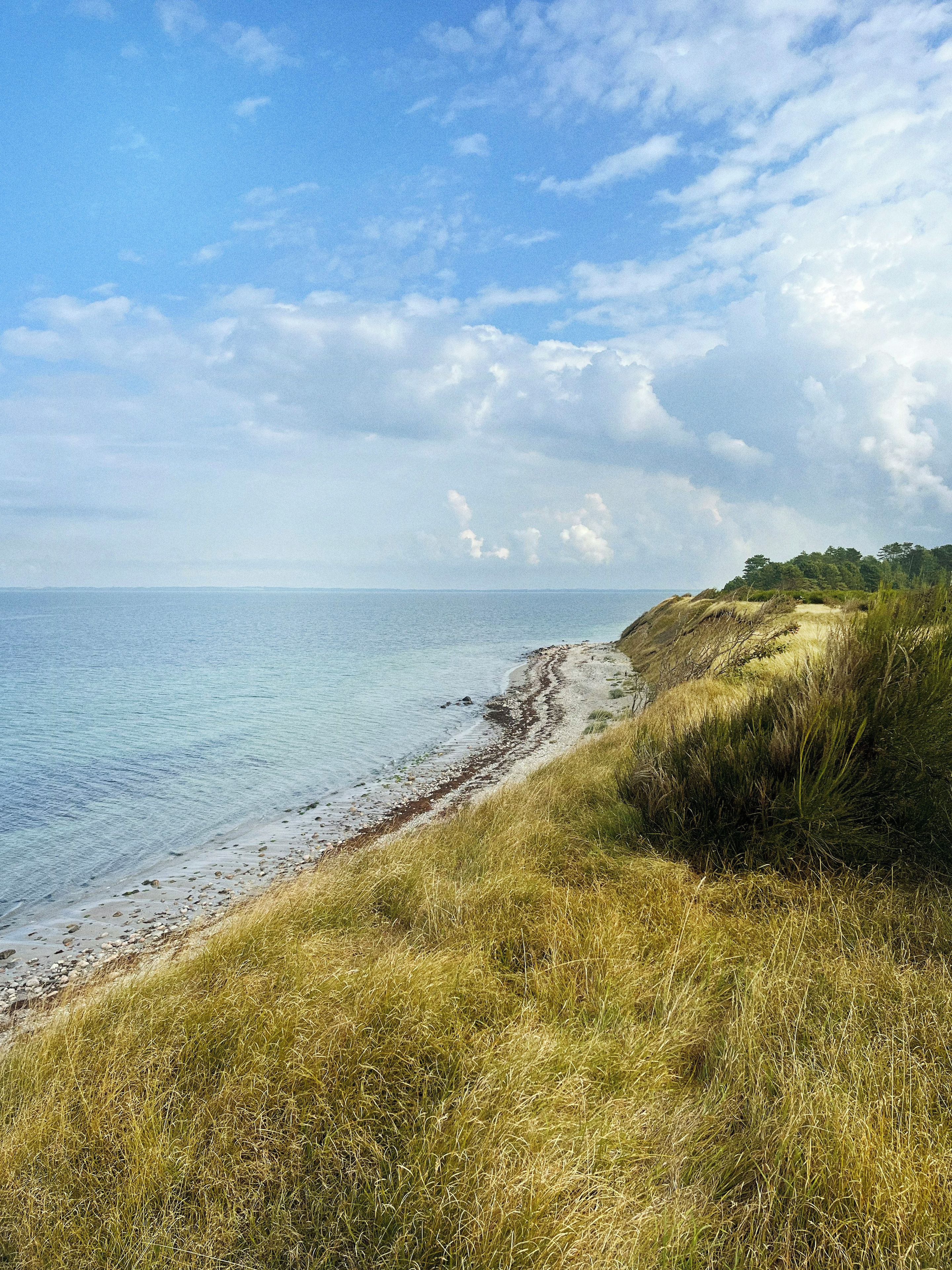 A coastal landscape with a clear sky, a sandy beach, and grassy dunes.