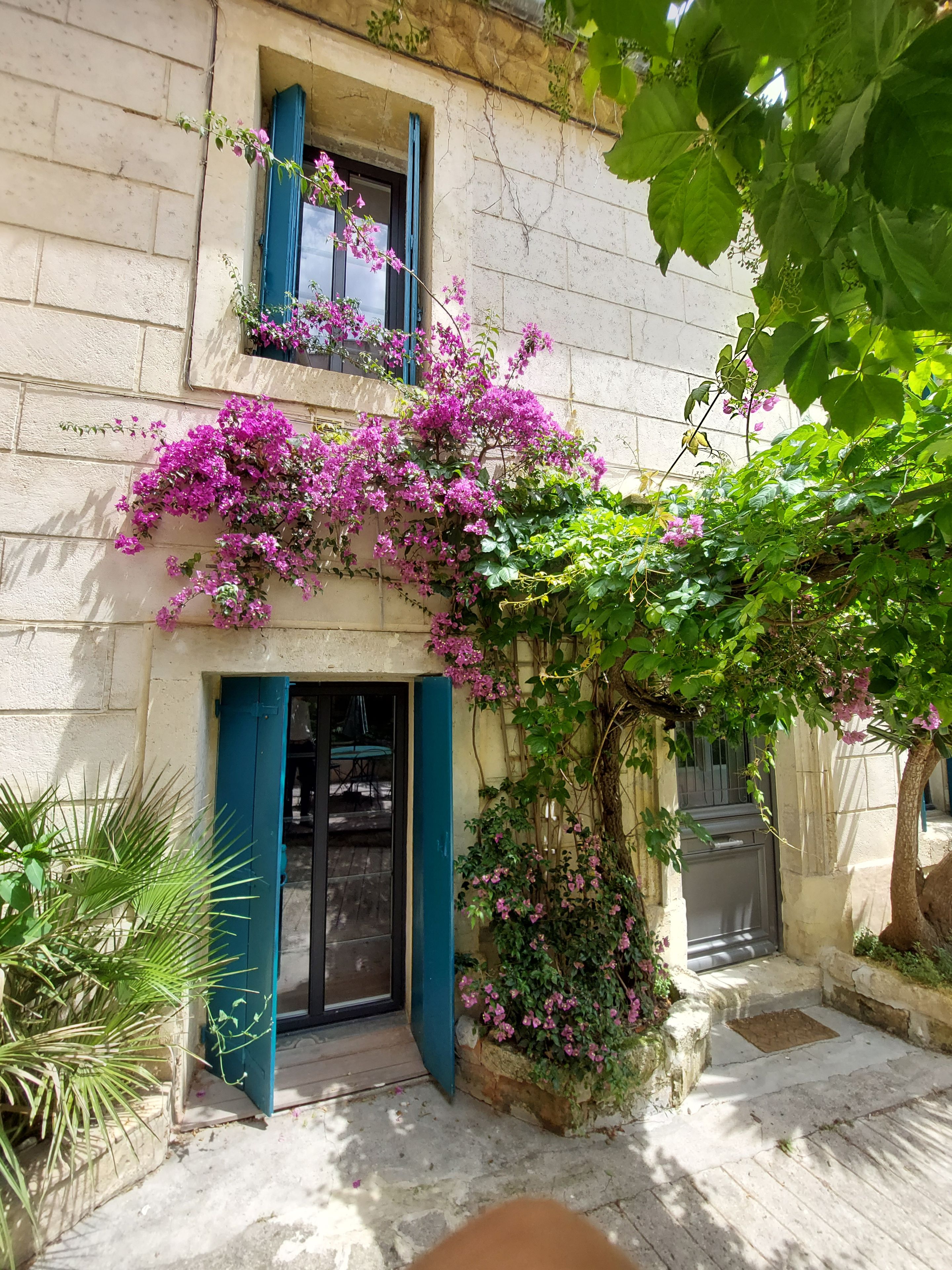 A building with a stone facade, a door with a blue frame, and pink flowering vines.