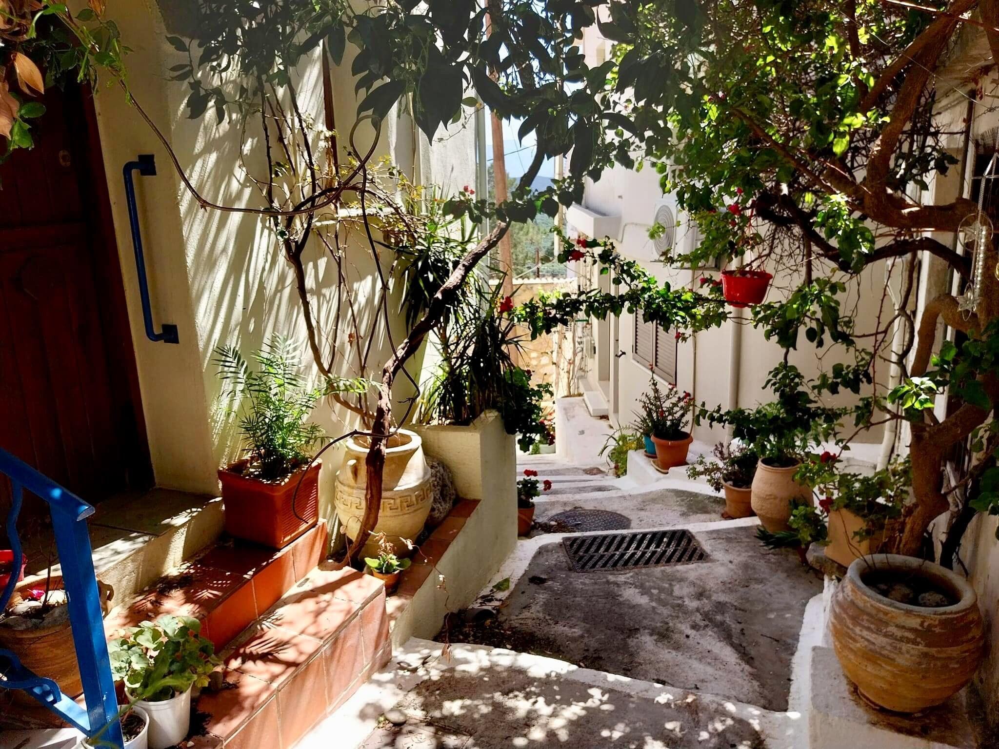 Un patio soleado con plantas en macetas, una silla azul y un banco de piedra.