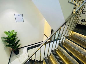 Eine Treppe mit Handlauf und einem Blumentopf links.