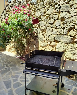 Property grounds - Country House 'Casa Rural La Cancha II' (Navalacruz)