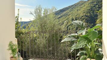 Ein Balkon mit einem schmiedeeisernen Gitter und Blick auf eine gebirgige Landschaft.