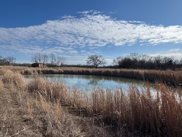 Paesaggio naturale con uno specchio d'acqua, erba secca e alberi sotto un cielo parzialmente nuvoloso.